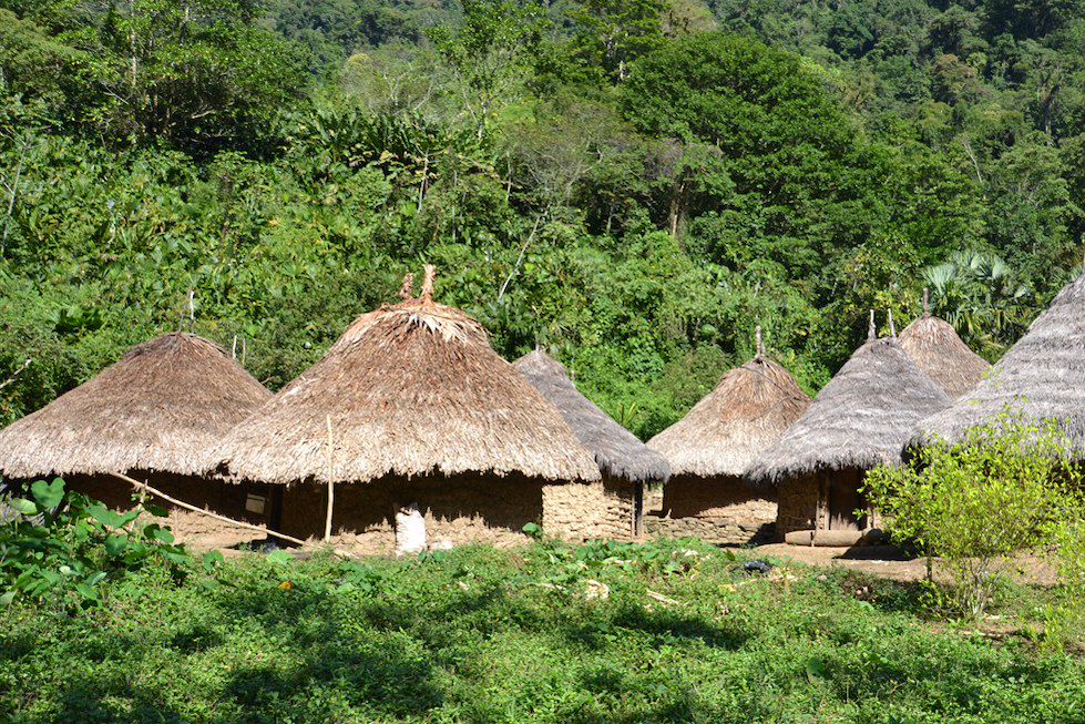 Image Région du café à vélo - Randonnée Parc Tayrona - Rencontres et Immersion