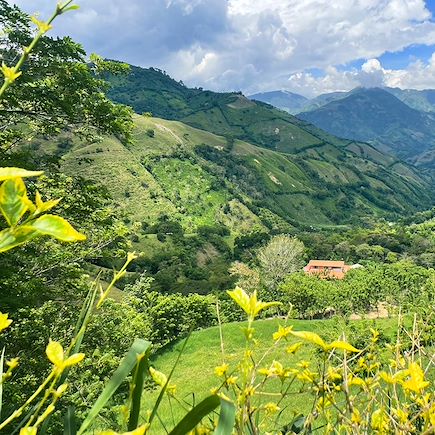 Découverte Colombie