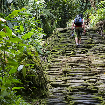 Trek Colombie