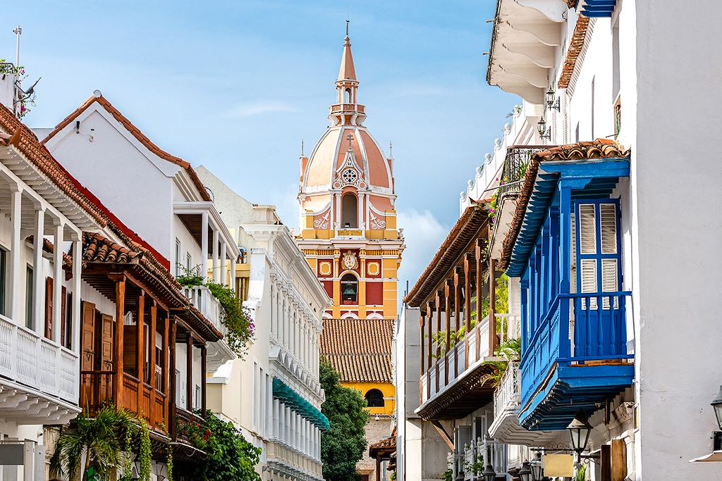 Image Visite Cali, Medellin Et Carthagène - Randonnée Vallée De Cocora - Villages Coloniaux