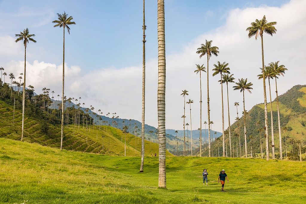 Image Visite Cali, Medellin Et Carthagène - Randonnée Vallée De Cocora - Villages Coloniaux