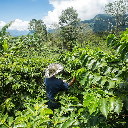 Randonnée Colombie