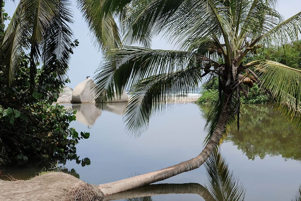 Image Randonnée Parc Tayrona - Visite Bogota - Ville Coloniale Carthagène