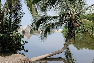 Parc Tayrona - Colombie