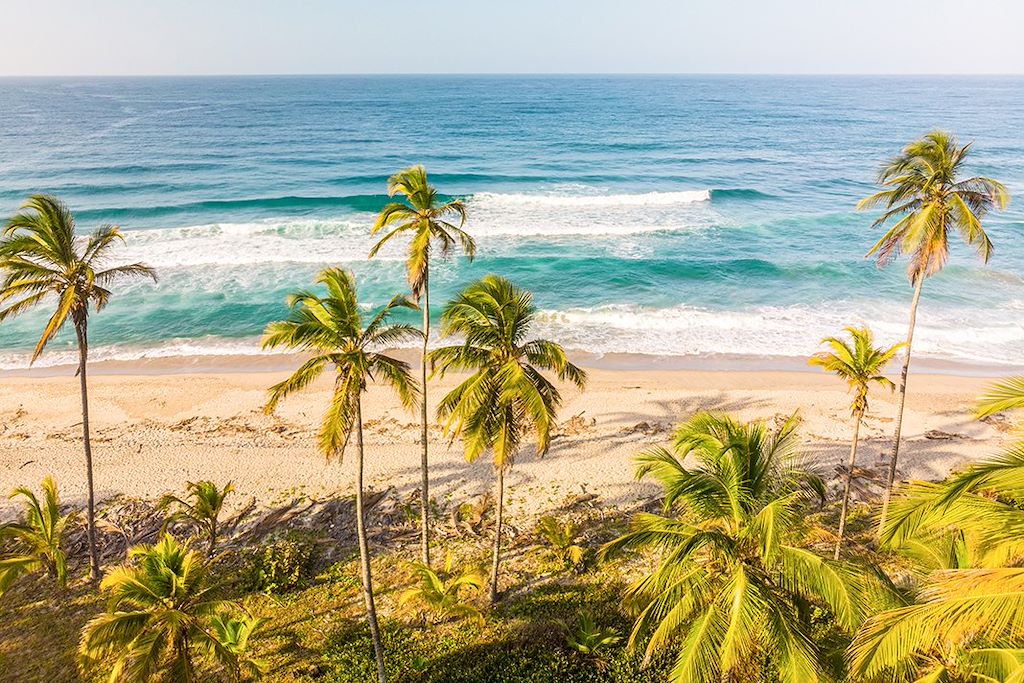 Image Désert De La Tatacoa - Randonnée Parc Tayrona - Visite Carthagène