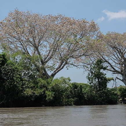 Randonnée Colombie