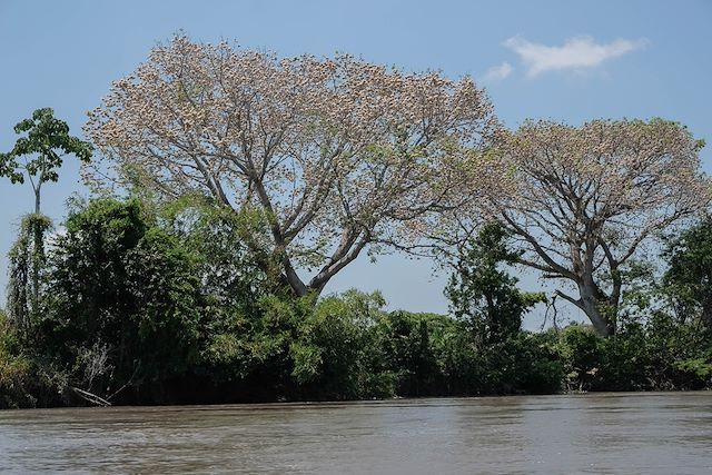 Voyage Petits explorateurs des Andes aux Caraïbes