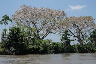 Fleuve Magadalena - Colombie
