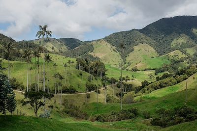 Vallée de la Samaria - Colombie
