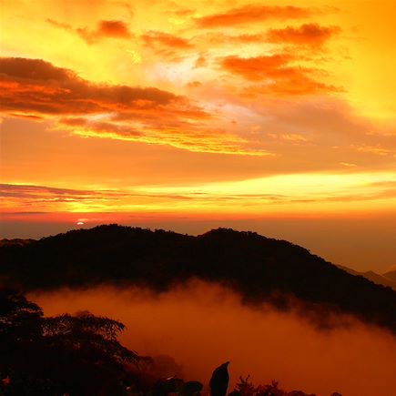 Découverte Colombie