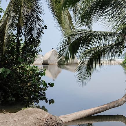 Découverte Colombie