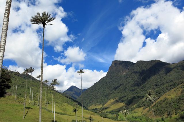 Voyage à pied : Arômes de Colombie : région du café et Caraïbes