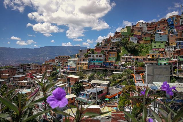 Image Trek et rencontre sous la canopée de Medellin