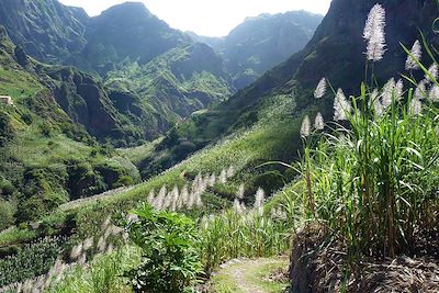 © Sarah Bouchet - Ribeira Grande - Cap Vert Ribeira Grande - Cap Vert