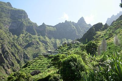 © Francoise Amiot Badin - Santo Antao - Cap Vert Santo Antao - Cap Vert