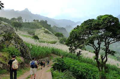 © Marianne Furlani - Cirque de Cabo de Ribeira - Santo Antao - Cap-Vert Cirque de Cabo de Ribeira - Santo Antao - Cap-Vert