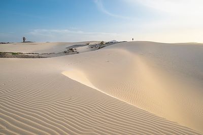 Entre vallées tropicales et désert de sable
