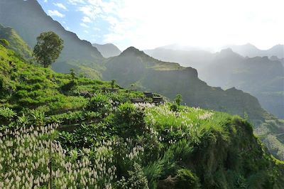 Ribeira Grande - Santo Antao - Cap-Vert