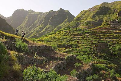 Randonneurs sur un sentier grimpant dans les montagnes verdoyantes - Santo Antao - Cap Vert