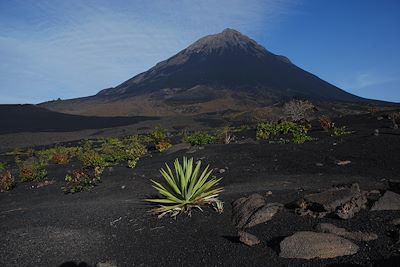 Caldeira et volcan Pico - Culture de la vigne - Ile de Fogo