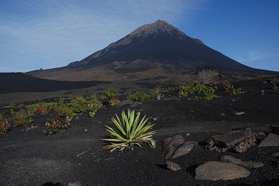 © Patrick Le Floc'h - Caldeira et volcan Pico - Culture de la vigne - Ile de Fogo Caldeira et volcan Pico - Culture de la vigne - Ile de Fogo