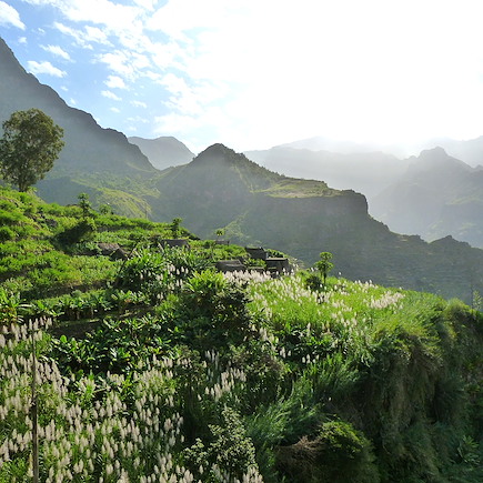 Randonnée Cap-Vert