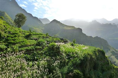 Ribeira Grande - Santo Antao - Cap-Vert