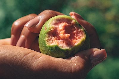 Vallée de Paul, Santo Antão