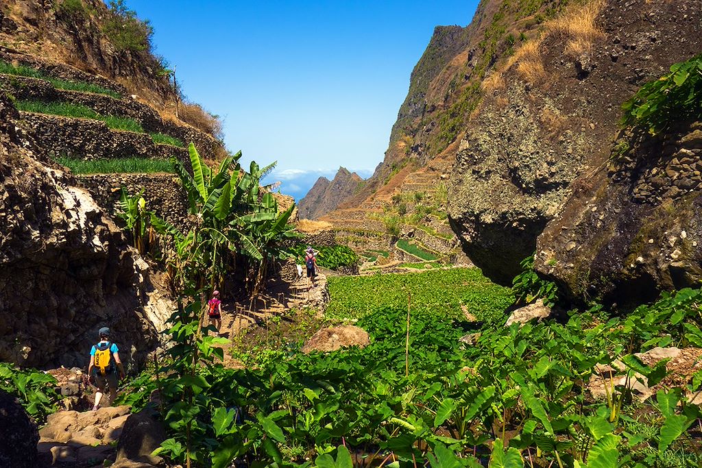 Image Multi Activités Au Cap-Vert - Chasse Au Trésor À Santo Antao - Cours De Cuisine À Mindelo