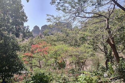 Jardin Botanique Sao Jorge dos Orgaos - Cap-Vert