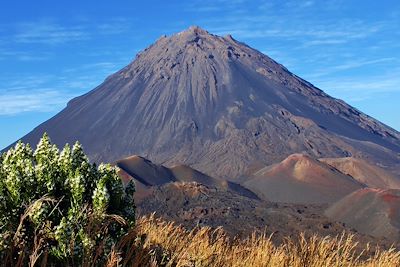 Pico  - Fogo - Cap Vert