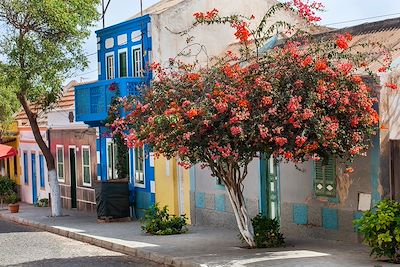 Rue de Bofarreira - Boa Vista - Cap-Vert