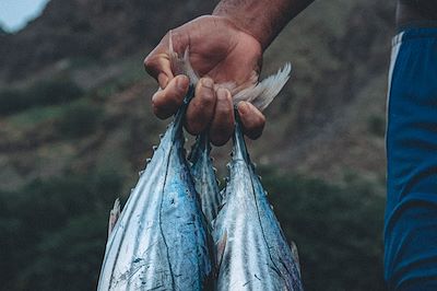 retour de pêche