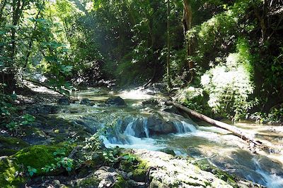 Rivière Vela de la novia au pied du Cerro Escondido - Réserve Karen Mogensen - Péninsule de Nicoya - Costa Rica