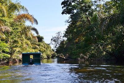Balade en bateau dans les canaux de Tortuguero - Costa Rica