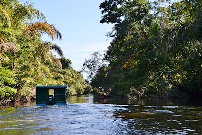 Balade en bateau dans les canaux de Tortuguero - Costa Rica