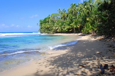 Plage de Manzanillo - Costa Rica