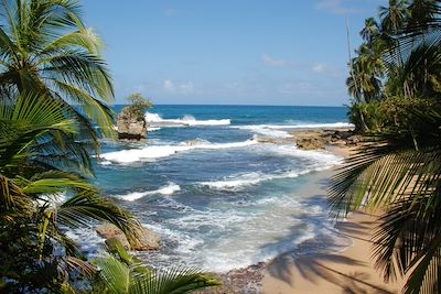 Plage de Punta Uva - Puerto Viejo de Talamanca - Costa Rica