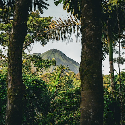 Multi-activités Costa Rica