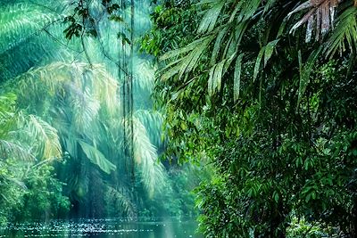 © Francesco Ricca Iacomino / iStock - Tortuguero - Costa Rica Tortuguero - Costa Rica