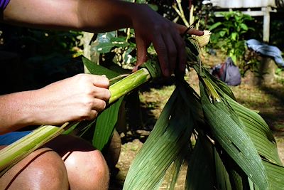 © Mathilde Salmon - Bribris - Costa Rica Bribris - Costa Rica