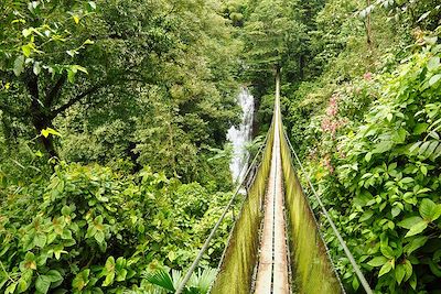 © Thomas Callens - Pont suspendu à Los Campesinos - Costa Rica Pont suspendu à Los Campesinos - Costa Rica