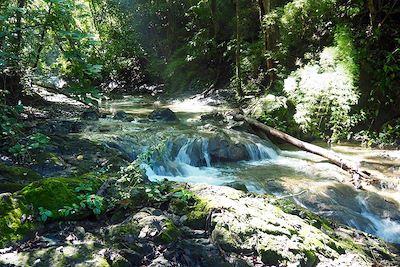 © Thomas Callens - Rivière Vela de la novia au pied du Cerro Escondido - Réserve Karen Mogensen - Péninsule de Nicoya - Costa Rica Rivière Vela de la novia au pied du Cerro Escondido - Réserve Karen Mogensen - Péninsule de Nicoya - Costa Rica