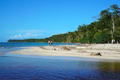 Parc national - Cahuita - Costa Rica