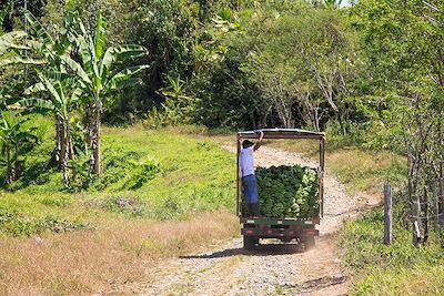 © Audrey Midrouet - Bribri - Yorkin - Costa Rica Bribri - Yorkin - Costa Rica