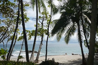 © Stephan Mattia - Plage de Montezuma - Costa Rica Plage de Montezuma - Costa Rica