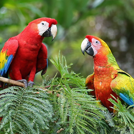 Autotour Costa Rica