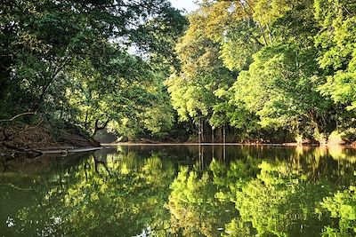 Boca Tapada - Rio San Carlos - Costa Rica