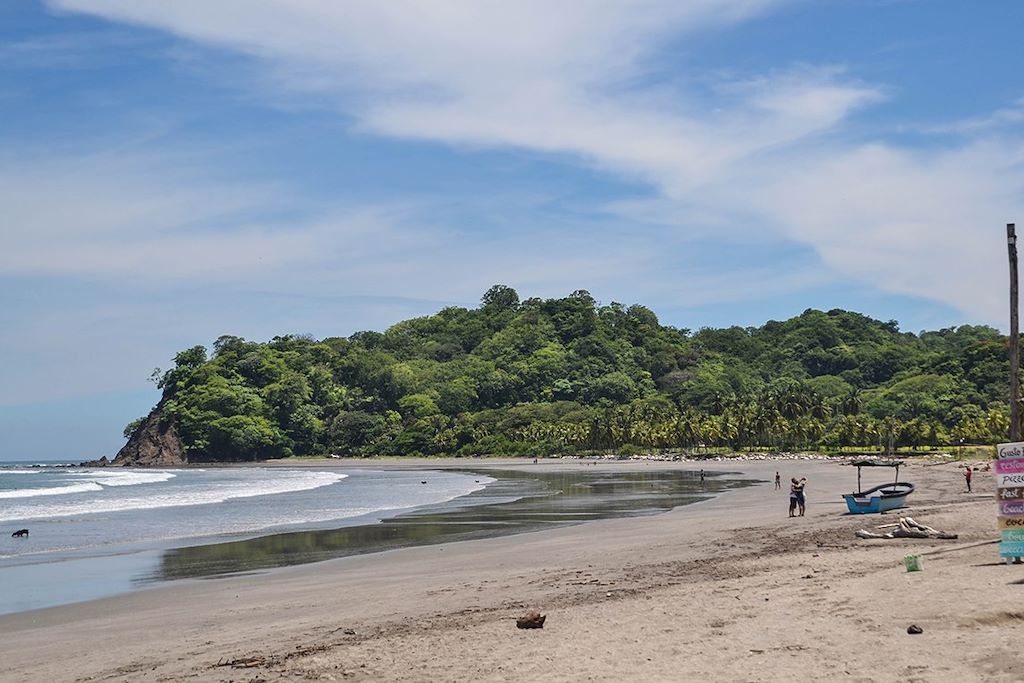 Image Ponte tortues à Tortuguero - snorkeling Playa Samara - observation paresseux