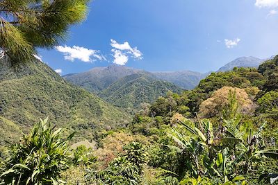 Cordillère Talamanca - Cerro Chirripa  - Costa Rica